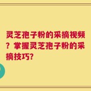 灵芝孢子粉的采摘视频？掌握灵芝孢子粉的采摘技巧？