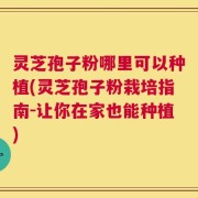 灵芝孢子粉哪里可以种植(灵芝孢子粉栽培指南-让你在家也能种植)