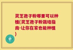灵芝孢子粉哪里可以种植(灵芝孢子粉栽培指南-让你在家也能种植)
