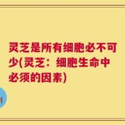 灵芝是所有细胞必不可少(灵芝：细胞生命中必须的因素)