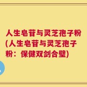 人生皂苷与灵芝孢子粉(人生皂苷与灵芝孢子粉：保健双剑合璧)