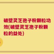 破壁灵芝孢子粉颗粒功效(破壁灵芝孢子粉颗粒的益处)