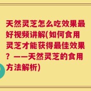 天然灵芝怎么吃效果最好视频讲解(如何食用灵芝才能获得最佳效果？——天然灵芝的食用方法解析)
