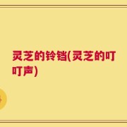 灵芝的铃铛(灵芝的叮叮声)