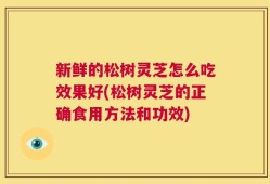 新鲜的松树灵芝怎么吃效果好(松树灵芝的正确食用方法和功效)