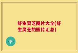 舒生灵芝图片大全(舒生灵芝的照片汇总)