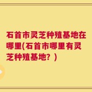 石首市灵芝种殖基地在哪里(石首市哪里有灵芝种殖基地？)