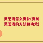 灵芝汤怎么煲补(煲制灵芝汤的方法和功效)