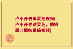 卢小开去采灵芝视频(卢小开寻访灵芝，拍摄原汁原味采摘视频)