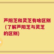 芦阳芝和灵芝有啥区别 (了解芦阳芝与灵芝的区别)