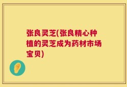 张良灵芝(张良精心种植的灵芝成为药材市场宝贝)