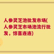 人参灵芝池批发市场(人参灵芝市场池流行批发，惊喜连连)