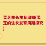 灵芝生长发育周期(灵芝的生长发育周期探究)