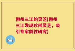 柳州三江的灵芝(柳州三江发现珍稀灵芝，吸引专家前往研究)