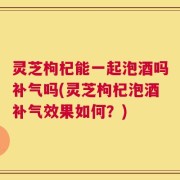 灵芝枸杞能一起泡酒吗补气吗(灵芝枸杞泡酒补气效果如何？)