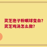 灵芝孢子粉眼球变白？灵芝鸡汤怎么做？