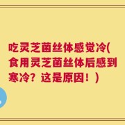 吃灵芝菌丝体感觉冷(食用灵芝菌丝体后感到寒冷？这是原因！)
