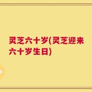 灵芝六十岁(灵芝迎来六十岁生日)