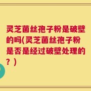 灵芝菌丝孢子粉是破壁的吗(灵芝菌丝孢子粉是否是经过破壁处理的？)