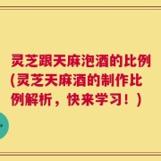 灵芝跟天麻泡酒的比例(灵芝天麻酒的制作比例解析，快来学习！)