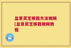 盆景灵芝移栽方法视频(盆景灵芝移栽视频教程