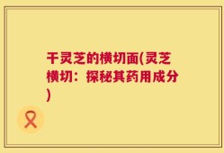 干灵芝的横切面(灵芝横切：探秘其药用成分)