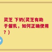 灵芝 下奶(灵芝有助于催乳，如何正确使用？)