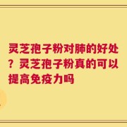 灵芝孢子粉对肺的好处？灵芝孢子粉真的可以提高免疫力吗