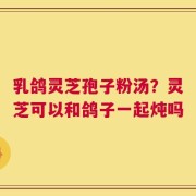 乳鸽灵芝孢子粉汤？灵芝可以和鸽子一起炖吗