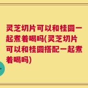 灵芝切片可以和桂圆一起煮着喝吗(灵芝切片可以和桂圆搭配一起煮着喝吗)