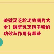 破壁灵芝粉功效图片大全？破壁灵芝孢子粉的功效与作用有哪些