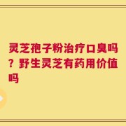 灵芝孢子粉治疗口臭吗？野生灵芝有药用价值吗