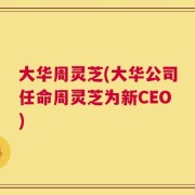 大华周灵芝(大华公司任命周灵芝为新CEO)