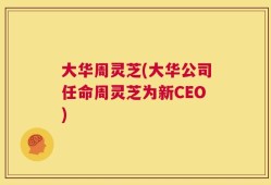 大华周灵芝(大华公司任命周灵芝为新CEO)