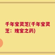 千年宝灵芝(千年宝灵芝：瑰宝之药)