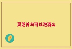 灵芝首乌可以泡酒么