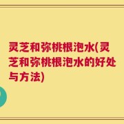 灵芝和弥桃根泡水(灵芝和弥桃根泡水的好处与方法)