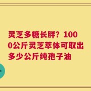 灵芝多糖长胖？1000公斤灵芝萃体可取出多少公斤纯孢子油