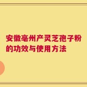安徽亳州产灵芝孢子粉的功效与使用方法