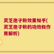 灵芝孢子粉效果知乎(灵芝孢子粉的功效和作用解析)