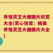 养殖灵芝大棚图片欣赏大全(赏心悦目：精美养殖灵芝大棚图片大全)