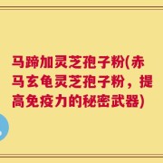 马蹄加灵芝孢子粉(赤马玄龟灵芝孢子粉，提高免疫力的秘密武器)