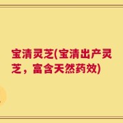 宝清灵芝(宝清出产灵芝，富含天然药效)