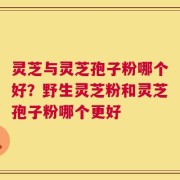 灵芝与灵芝孢子粉哪个好？野生灵芝粉和灵芝孢子粉哪个更好