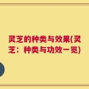 灵芝的种类与效果(灵芝：种类与功效一览)