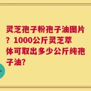 灵芝孢子粉孢子油图片？1000公斤灵芝萃体可取出多少公斤纯孢子油？
