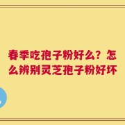 春季吃孢子粉好么？怎么辨别灵芝孢子粉好坏