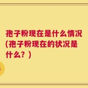 孢子粉现在是什么情况(孢子粉现在的状况是什么？)