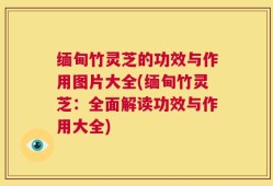 缅甸竹灵芝的功效与作用图片大全(缅甸竹灵芝：全面解读功效与作用大全)