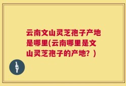 云南文山灵芝孢子产地是哪里(云南哪里是文山灵芝孢子的产地？)